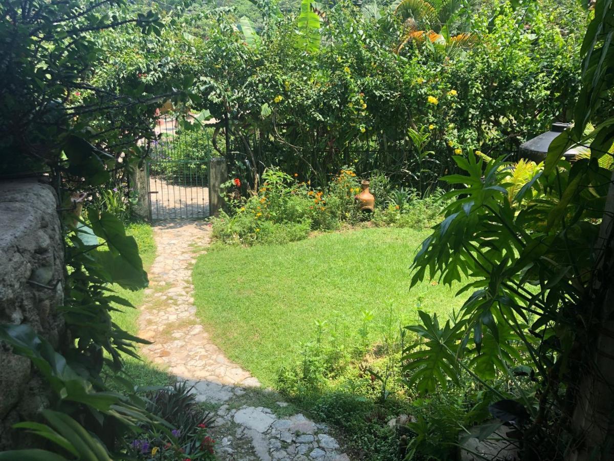 Casa Cereza Apartments Puerto Vallarta Ngoại thất bức ảnh