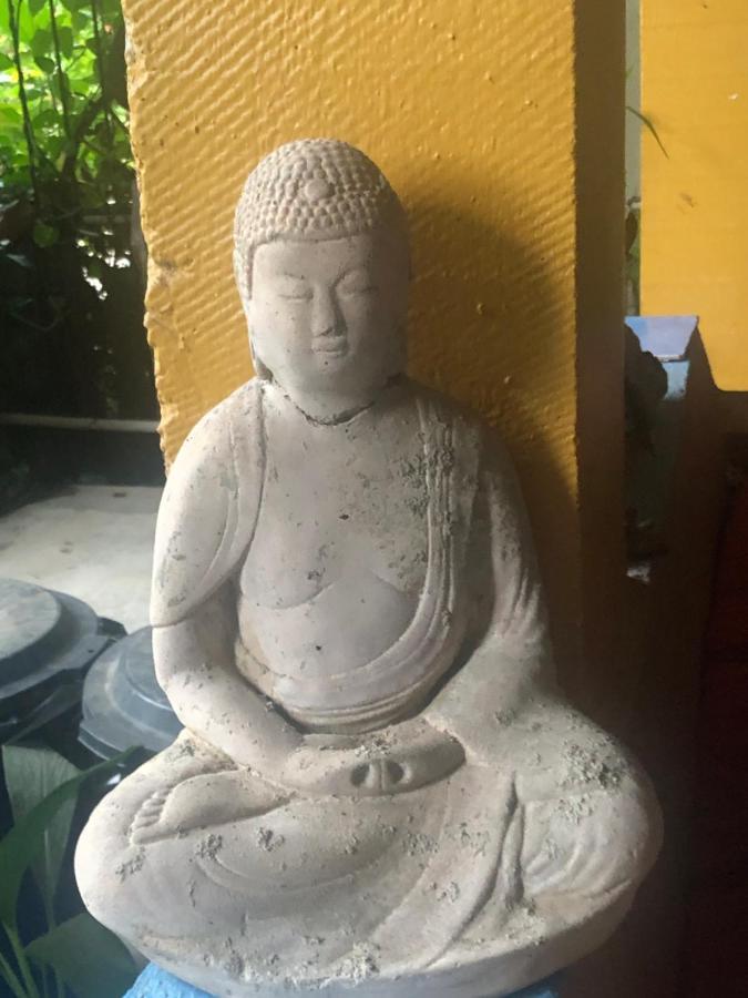 Casa Cereza Apartments Puerto Vallarta Ngoại thất bức ảnh