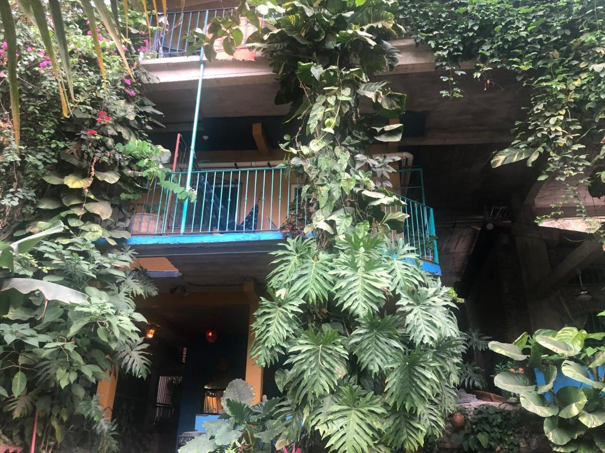 Casa Cereza Apartments Puerto Vallarta Ngoại thất bức ảnh